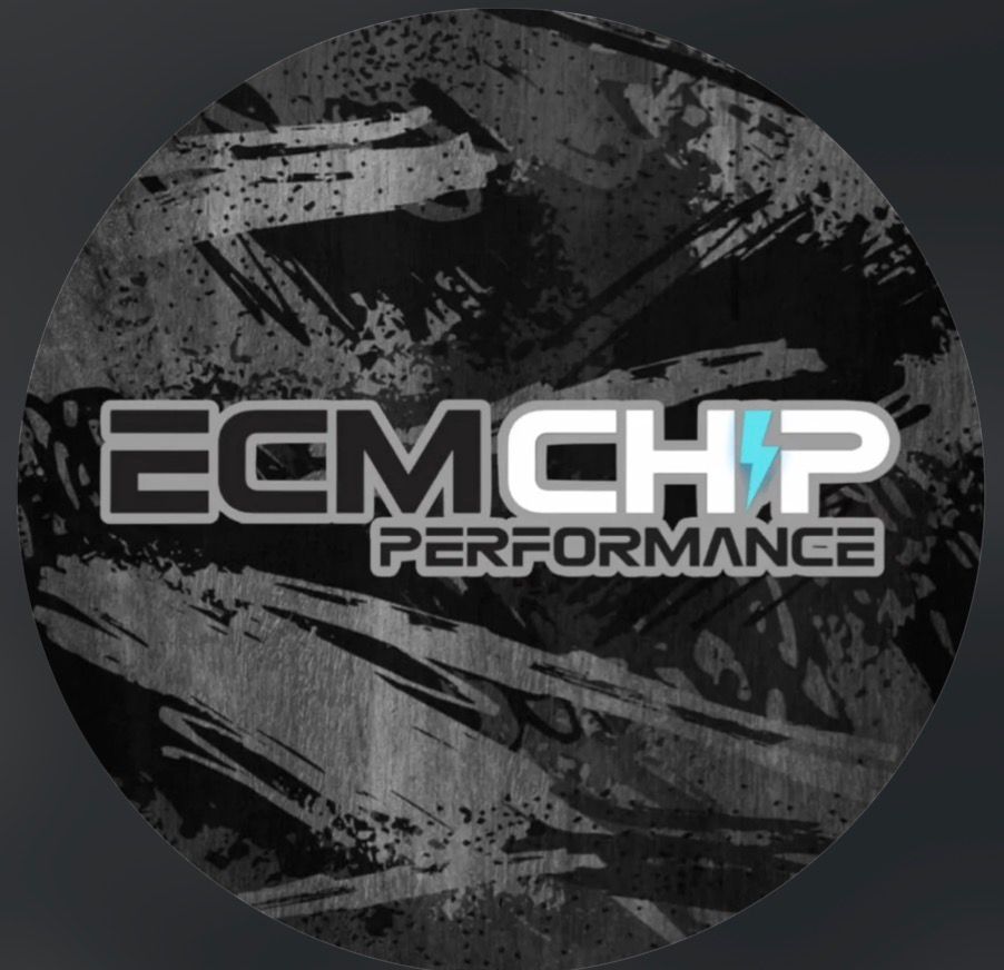 Logo ECM Chips Performance